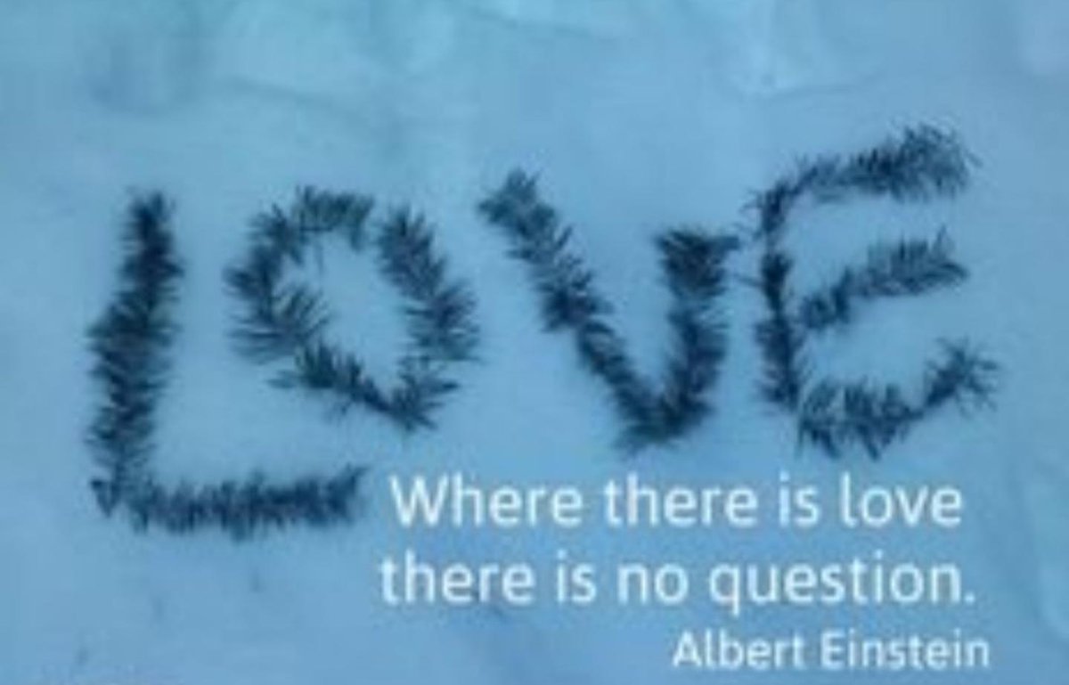 Where there is love there is no question. ~ Albert Einstein #Love #FridayFeeling #quote