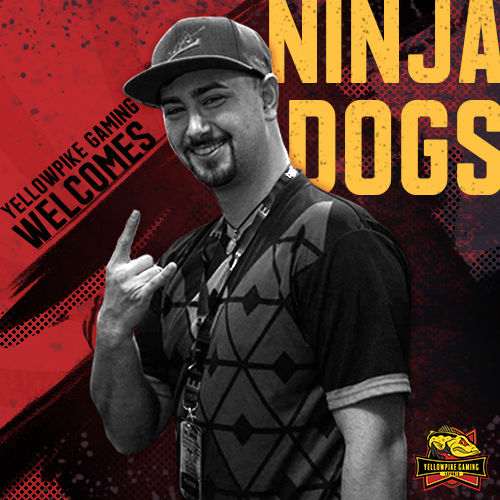 YellowPikeGG tweet media