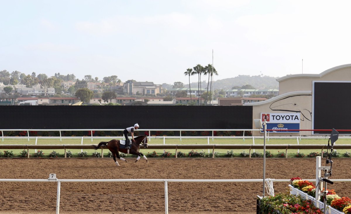 BmoreJocelyn's tweet image. First morning at @DelMarRacing for me, it’s absolutely beautiful!! Recruiting Ready likes it here too :) #recruitingready