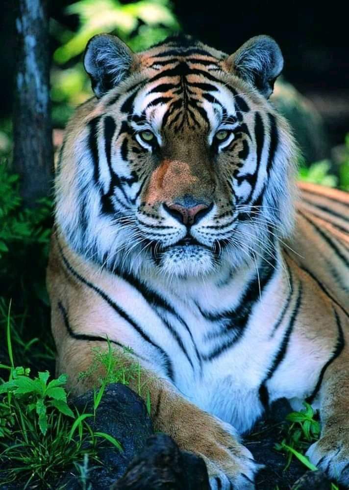 Dinesh Senarathna (@dineshsenarath4) on Twitter photo 