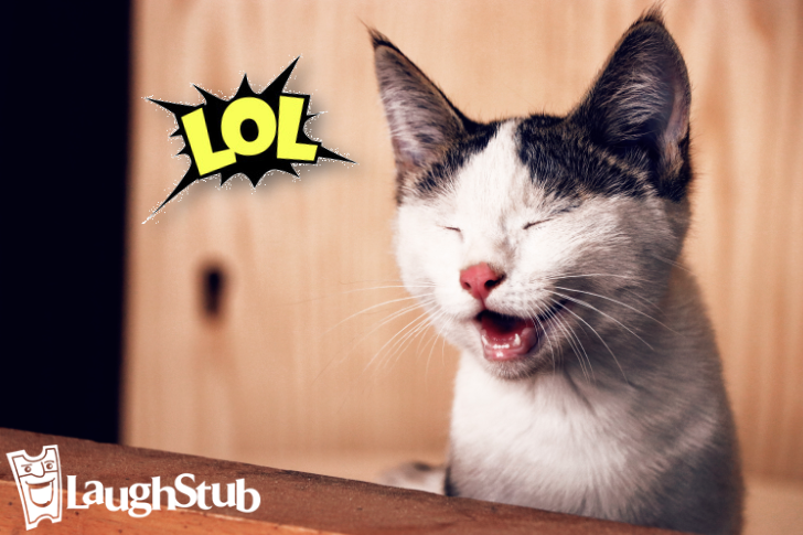 Love to laugh? Find #comedy events near you: laughstub.com