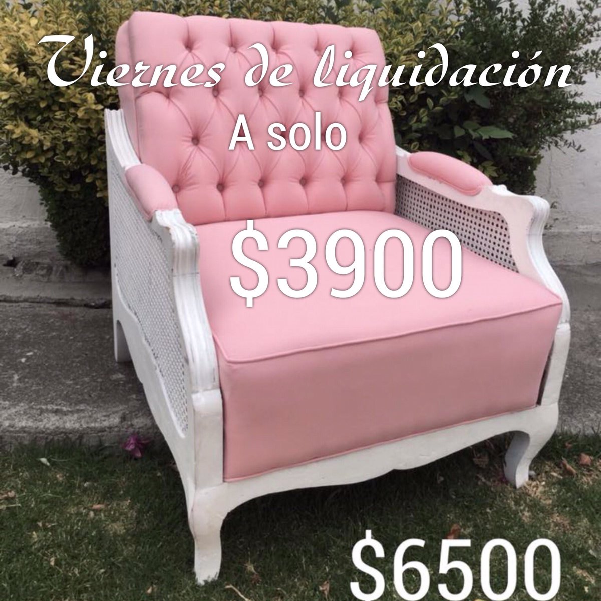 Casa Constanza tweet media