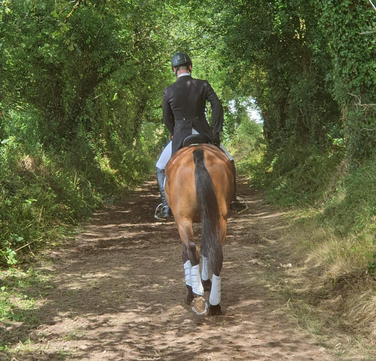 Tom Rowland tweet media