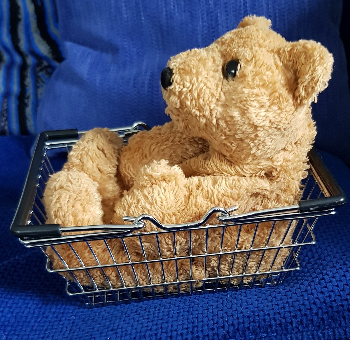JappTheBear's tweet photo. Side view..... #offmytrolley #inmytrolley https://t.co/dVls3odH9E