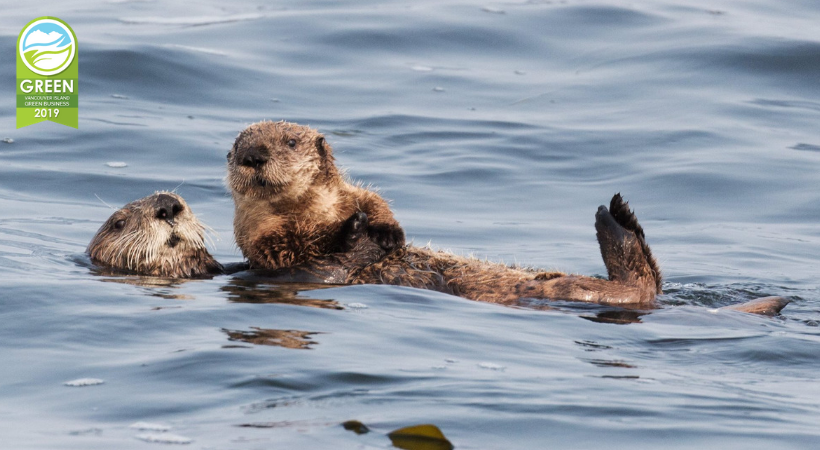 VI Green Biz tweet media