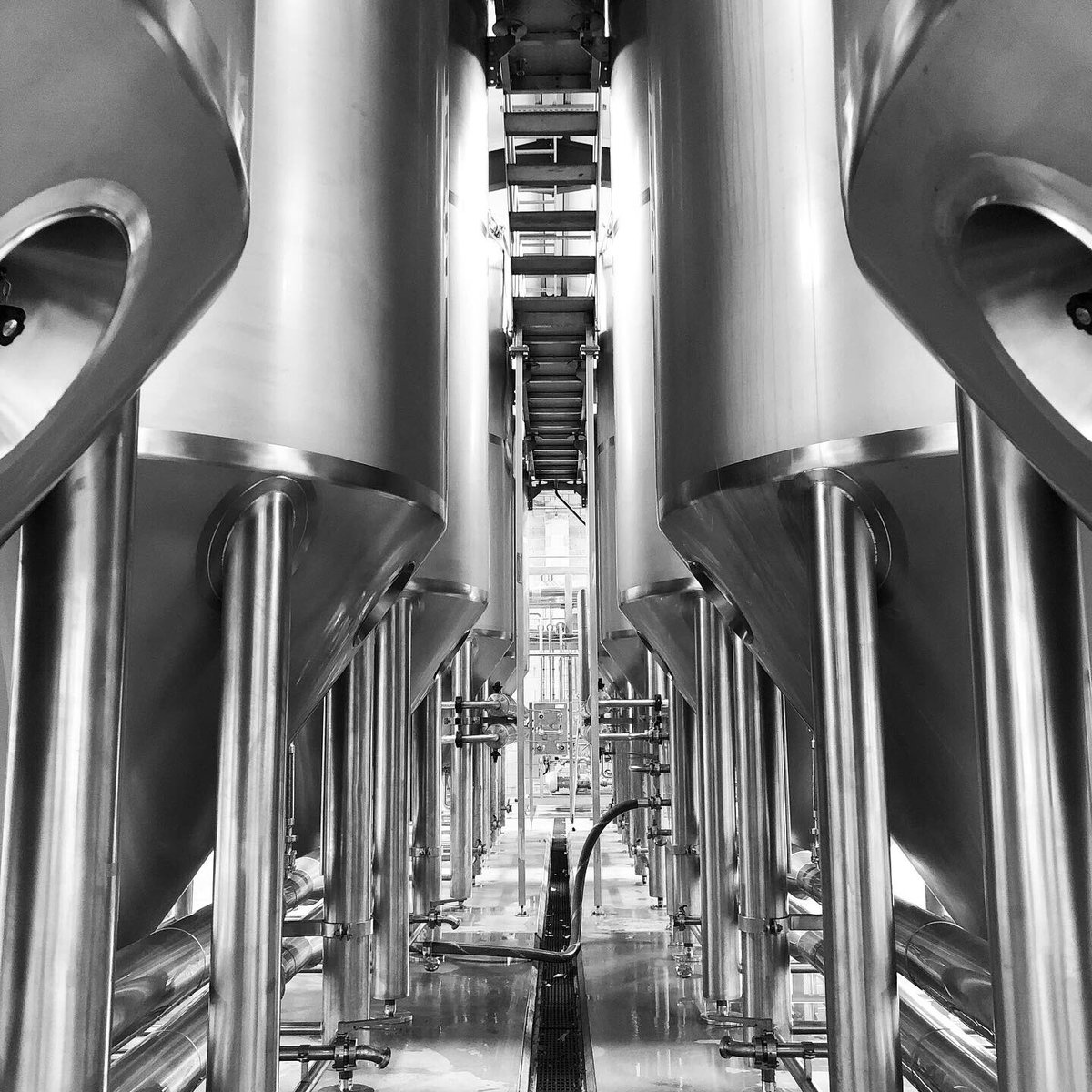 HawksheadBrewer's tweet photo. It’s been a long hot week but they’re in and ready!
6 new 130hl tanks commissioned. 🙌
#newtanks #morecapacity #summer #blackandwhite #timeformorebeer #growing #hawksheadbrewery #lakedistrict #beerfromthelakes #beertography #beerculture #brewerylife #theyarehuge https://t.co/0TwdFBZK39