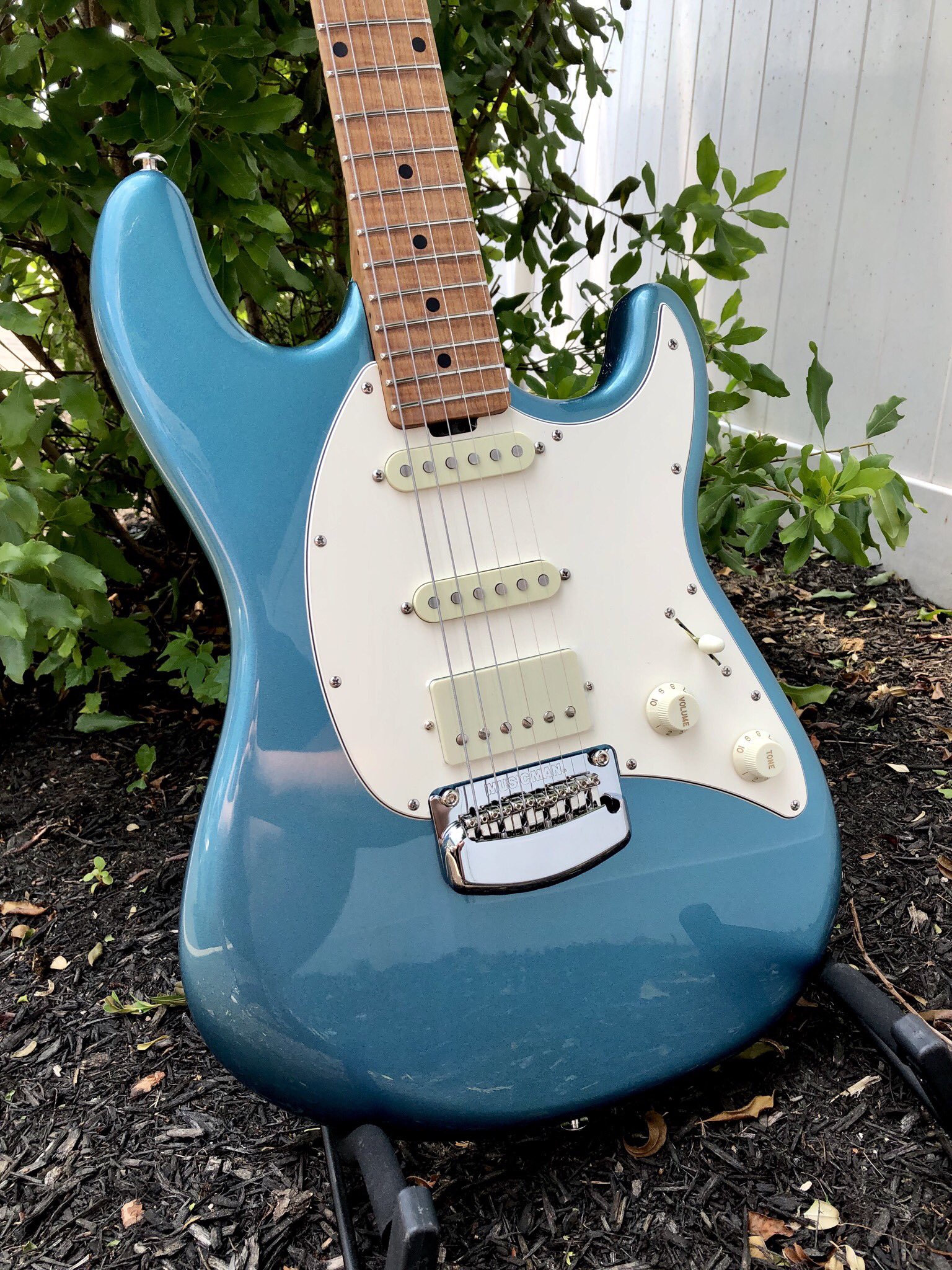 Prymaxe guitars cheap