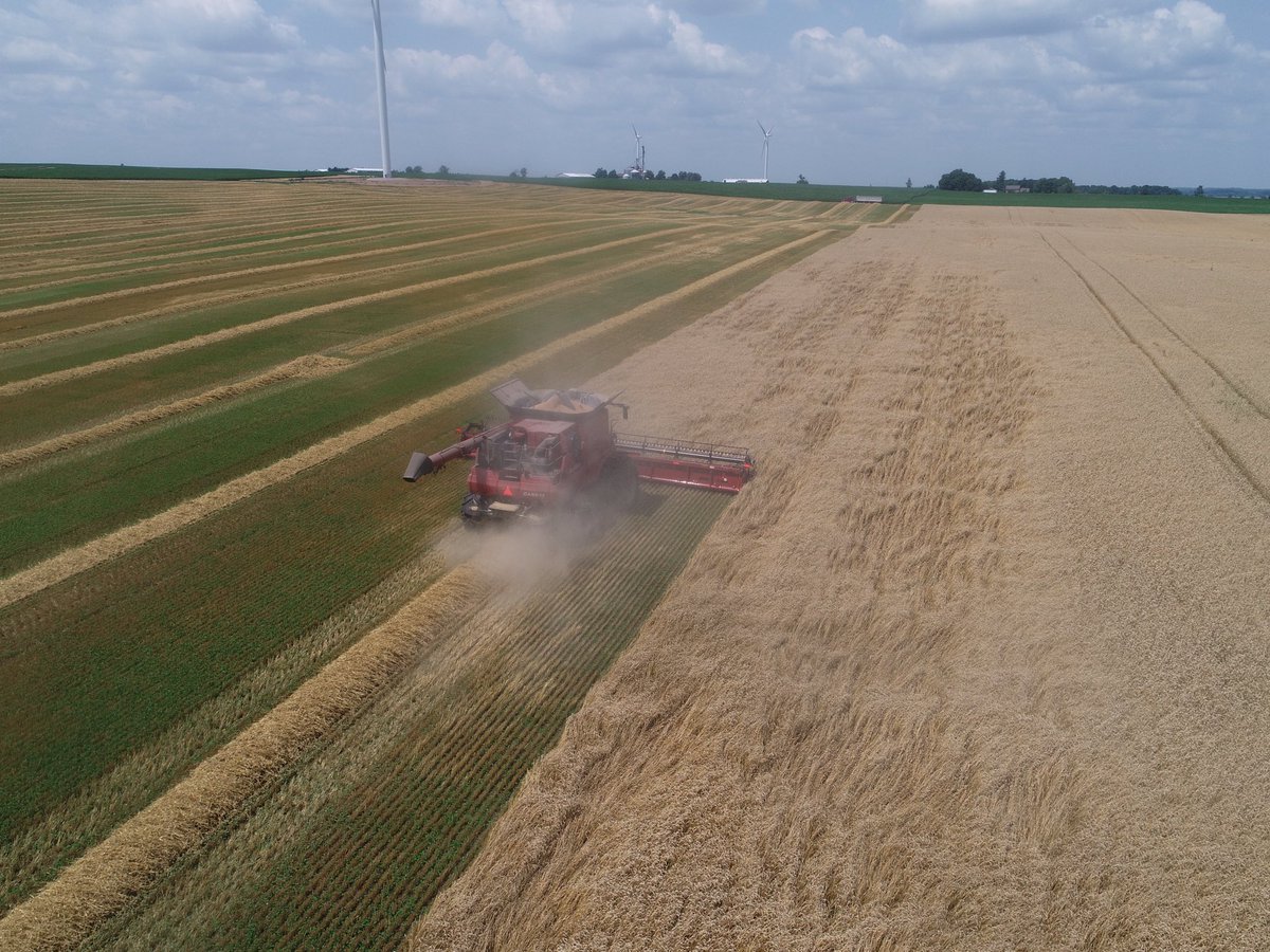 Jordan Sinclair tweet media