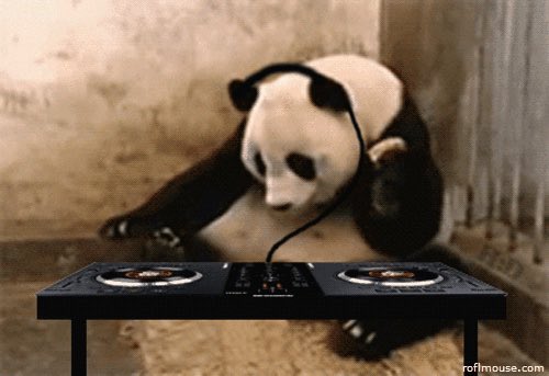 LoraVKeleher's tweet photo. Music is my lifeblood #music #MixTape https://t.co/rM1fjRDeD1