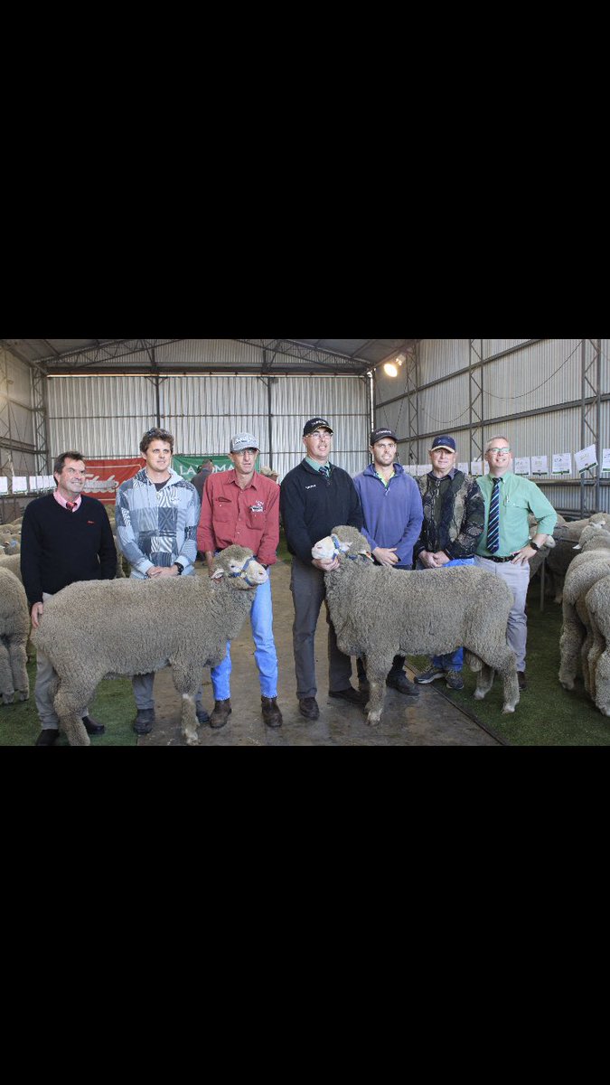 Gordon Wood tweet media