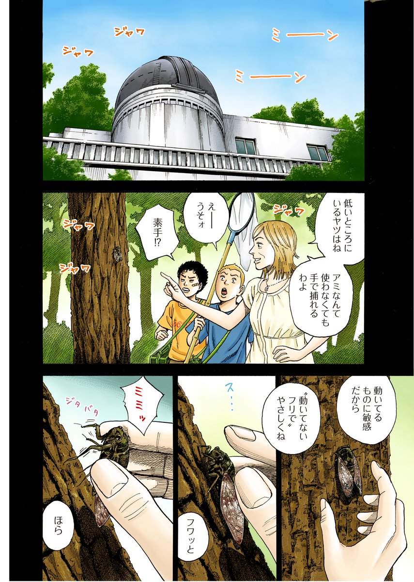 宇宙兄弟 作者が投稿した Alsに苦しむシャロンと南波六太の励まし 回に涙する人たち Togetter 宇宙兄弟 作者が投稿した Alsに苦しむシャロンと南波六太の励まし 回に涙する人たち Togetter