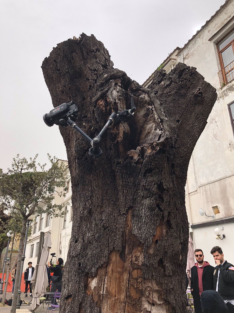 Lena Park tweet media