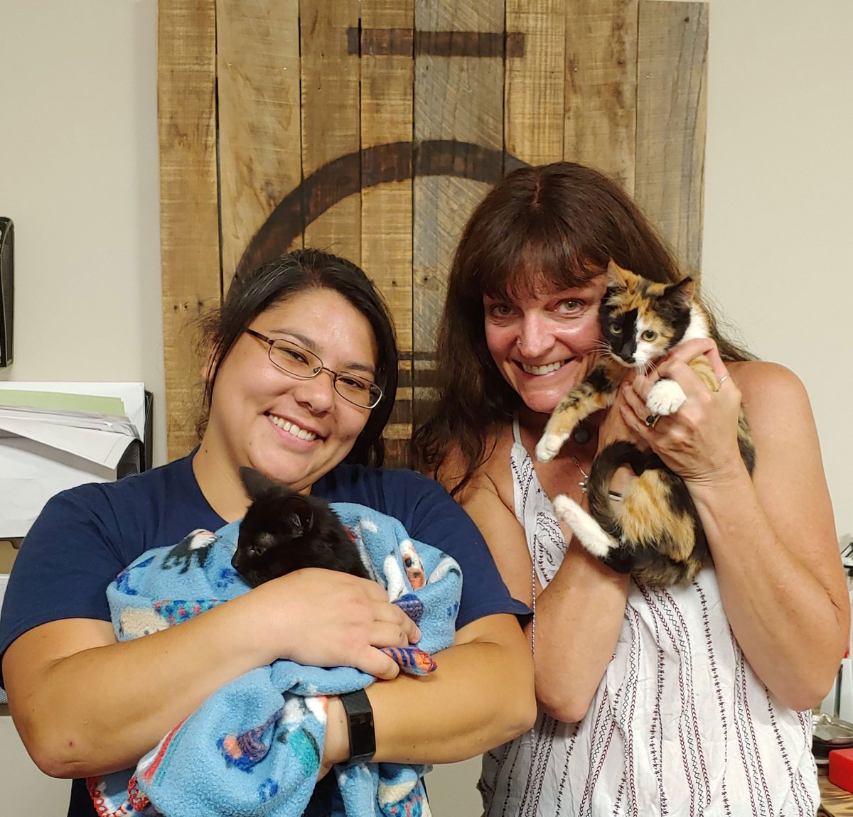 SolitudeLake's tweet photo. Meet the newest additions to our C-ville, VA office, Blueflag Iris &amp; Water Lily - Iris &amp; Lily for short! Shout out to Shannon Junior who rescued these two. Iris &amp; Lily will spend their days snuggling with their new colleagues. 🐱😊

#TheSOLution #SOLShoutOut #FeelGoodFriday https://t.co/VDcKEEHP40