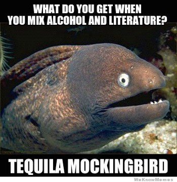 Ask #Alexa 'What is the #book [classic/hit title] about?'