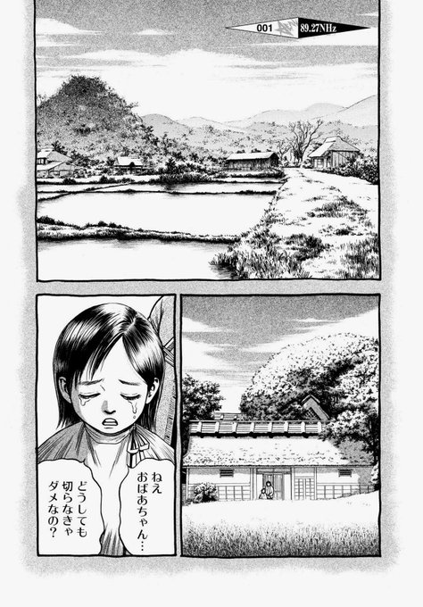 中野 Pisiinu さんの漫画 870作目 ツイコミ 仮