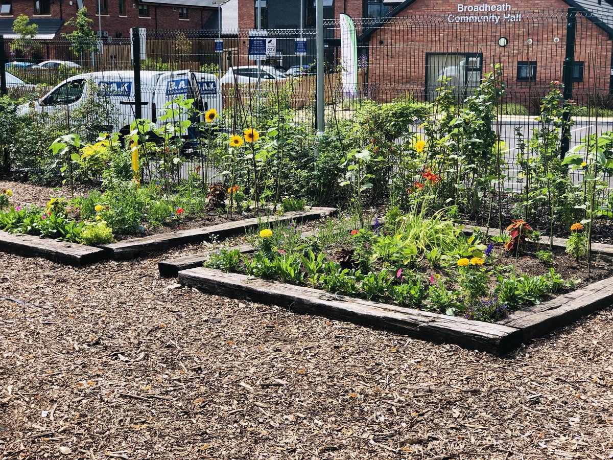 BCAAlty's tweet photo. A huge thank you to https://t.co/d36XTdrLBl for sourcing and donating a giant tyre (soon to be part of the #community garden) another of our local businesses supporting the community in #Broadheath.👏👏👏 https://t.co/xHHkWJ8Brc