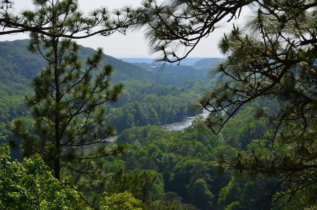 Beautiful Hiking Trails at Lake Allatoona! buff.ly/2Vq92XZ