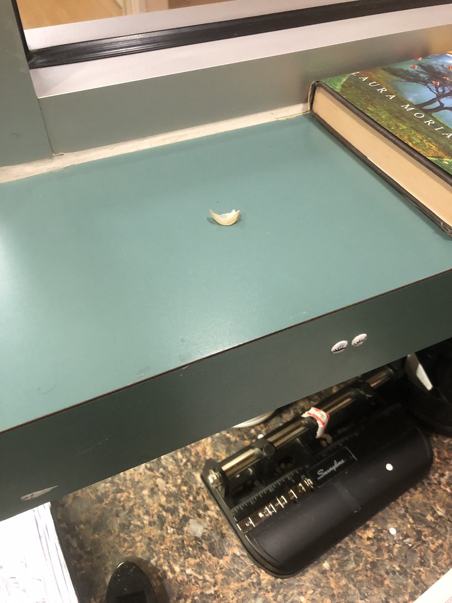 Someone peeled off their big toenail and put it on the shelf in the nurses station cus they wanted a podiatrist to clip their nails .................................... 