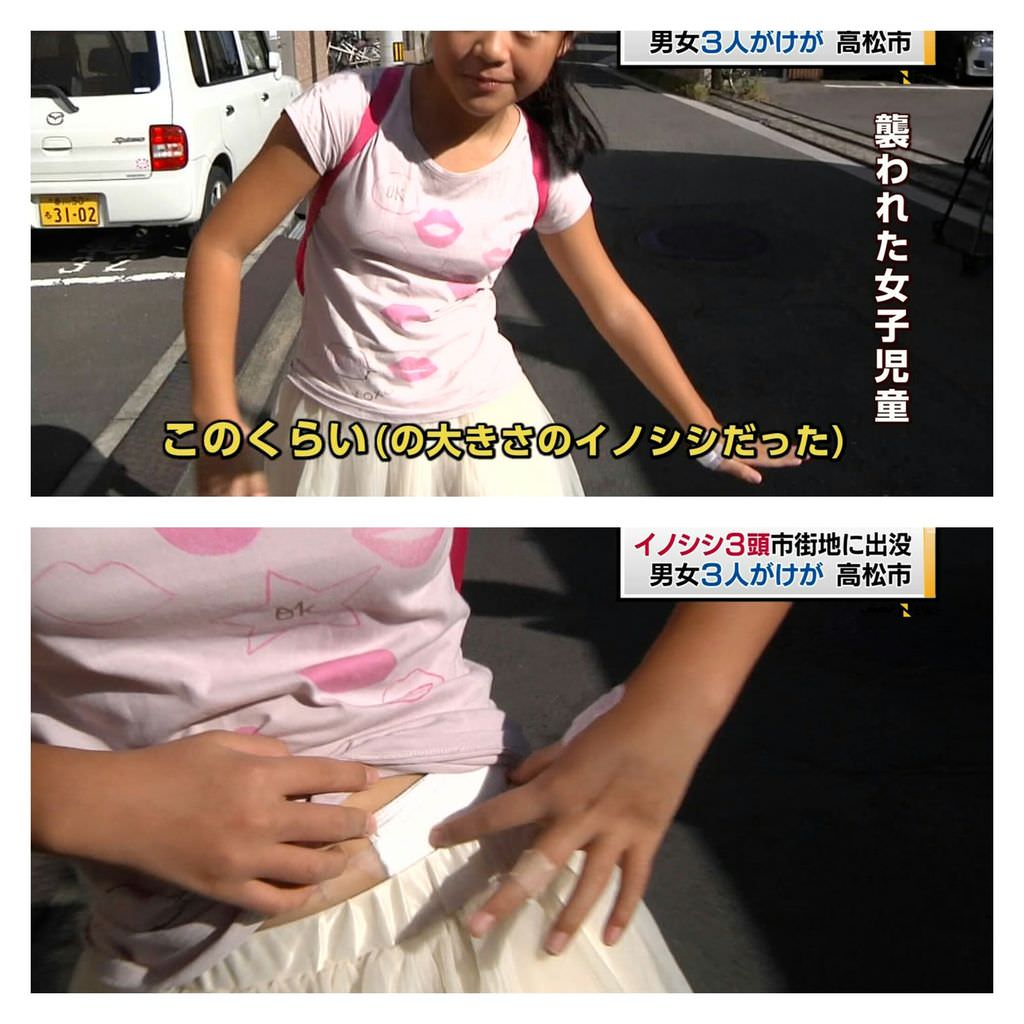 LATE_echiechi's tweet photo. https://t.co/sZOGGVpQmL