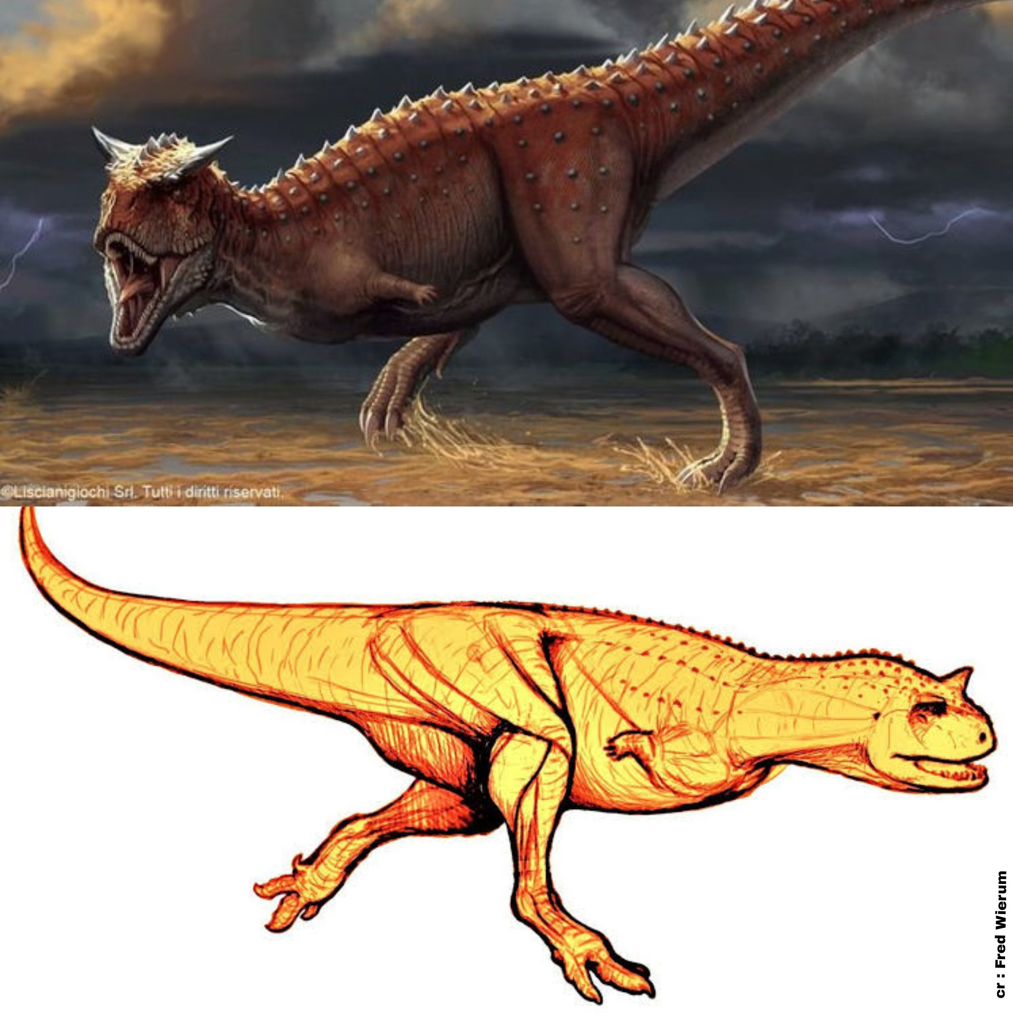 Carnotaurus' tiny arms are immobile and permanently pointing behind its  body so that it's eternally doing the Naruto run, making it the perfect  dinosaur to bring to Area 51 - iFunny Brazil