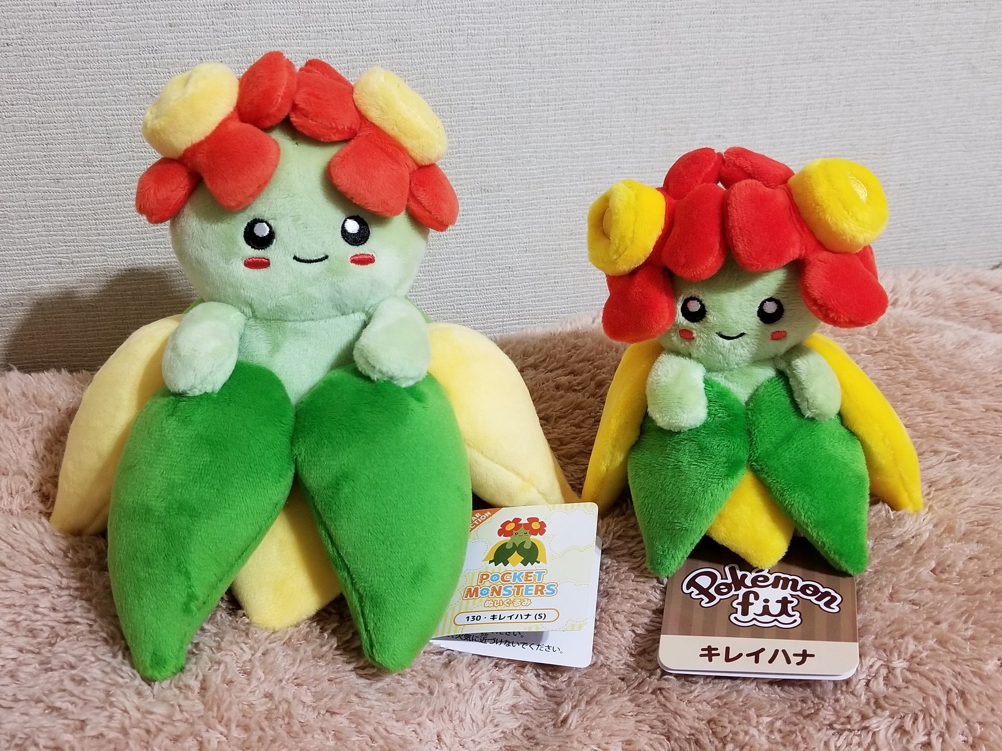 Rinpuu ポケモン All Star Collectionからキレイハナが出ていたので購入 先日のpokemon Fitのほうが花とか大きさも好みかなぁ 子供とお母さんみたいな感じ T Co Dqg9iz5fpt Twitter
