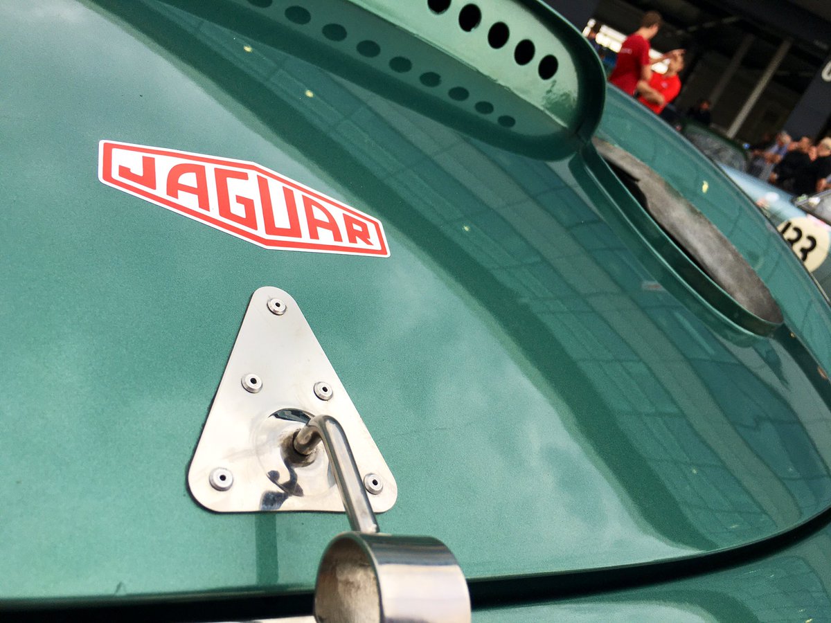 silverstonefest's tweet photo. The Pre-‘66 GTs readying themselves for Quali over by the wing... #SilverstoneClassic https://t.co/EG8wiVc8c4