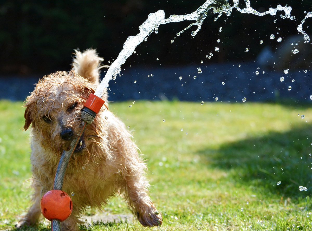 We hope you all are enjoying the summer holiday season! Have a great weekend. #RichmondWealth