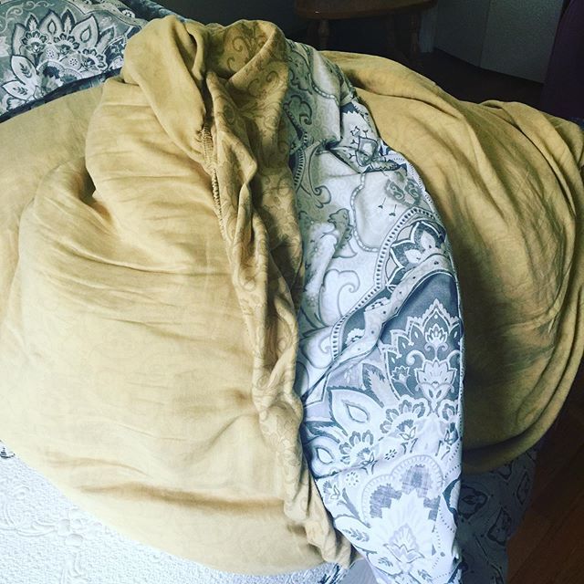 SimpleDeepLife's tweet photo. Ain’t nobody got time for this.
_
Check my stories for why I’m washing ALL the bedding today.
_
#nope #neveragain #uhuh https://t.co/B6gWxHBtCz https://t.co/kXO7K2a2ne
