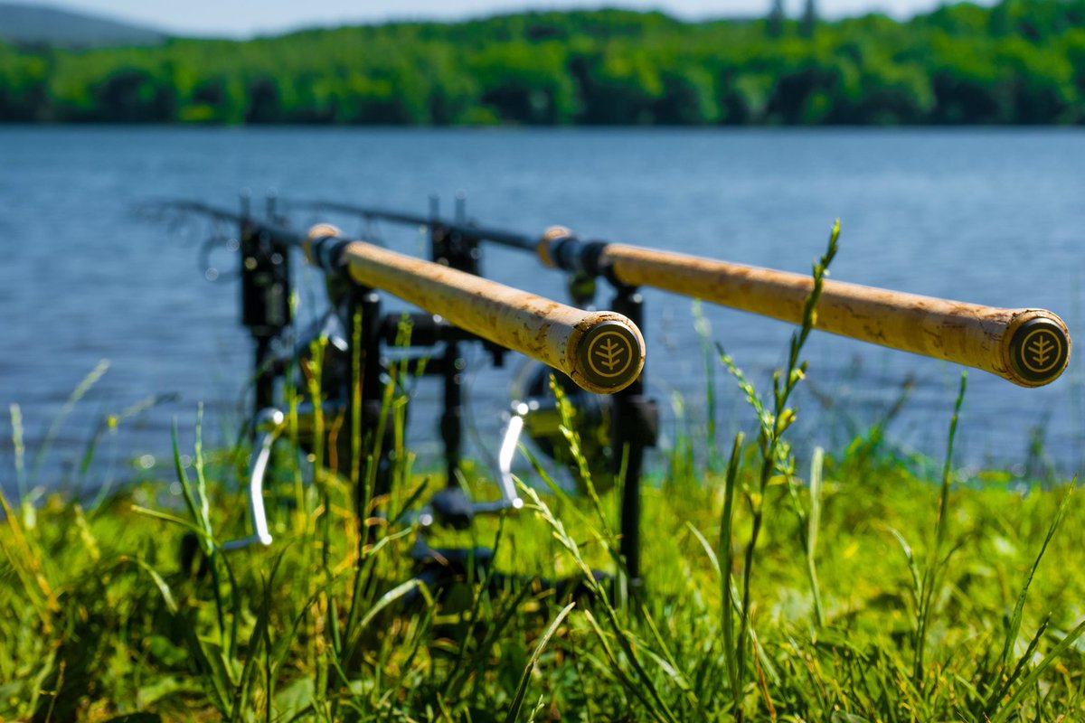 The weekend is nearly here…

#Summer #carpfishing #enjoytheoutdoors