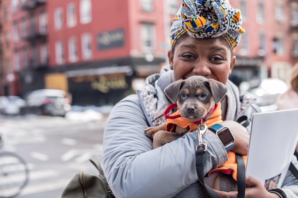 Nonprofit Spotlight: @muddypawsnyc 

$10/month provides a reusable “Adopt Me” vest and crate for a new foster parent! 

All recurring donations support full veterinary care, loving foster home, and professional behavior support. 
#letsdonorup #muddypawsrescue #feelgoodfriday