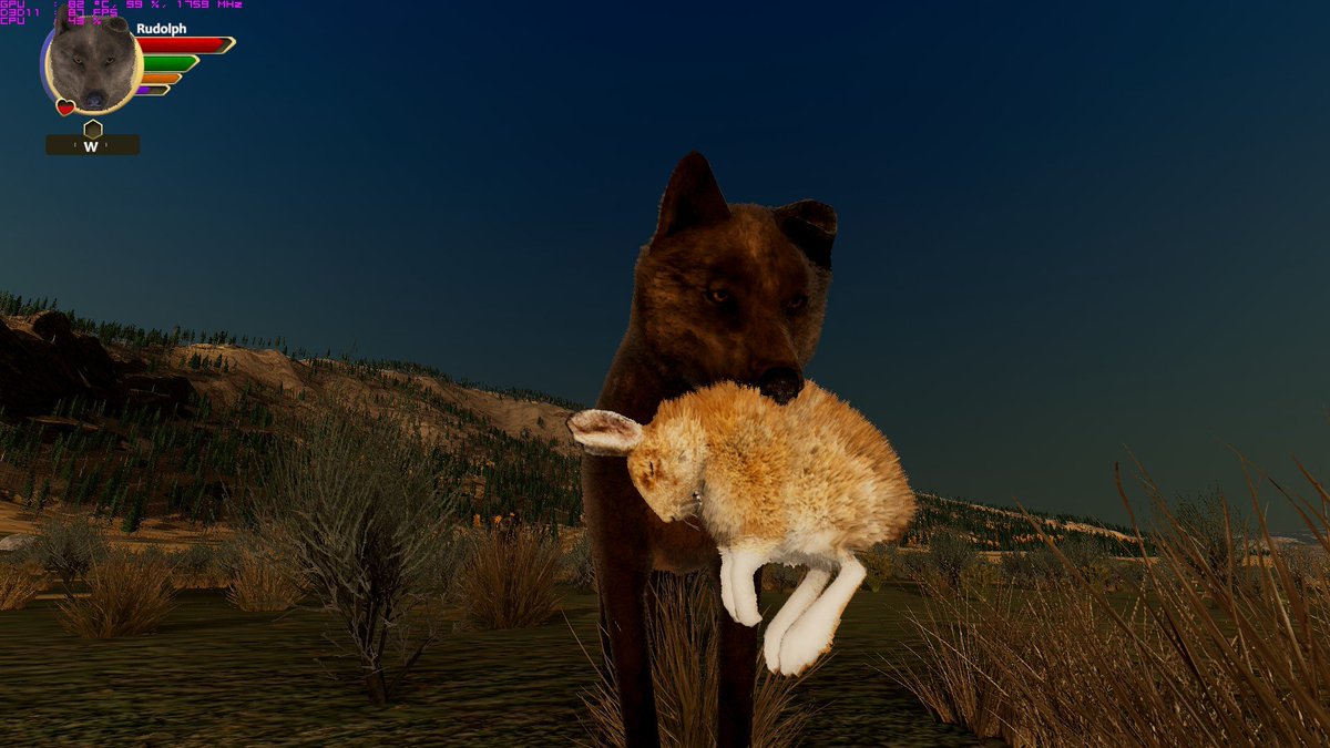 Play Wolf Quest Free No Download Play Wolf Quest Free No Download