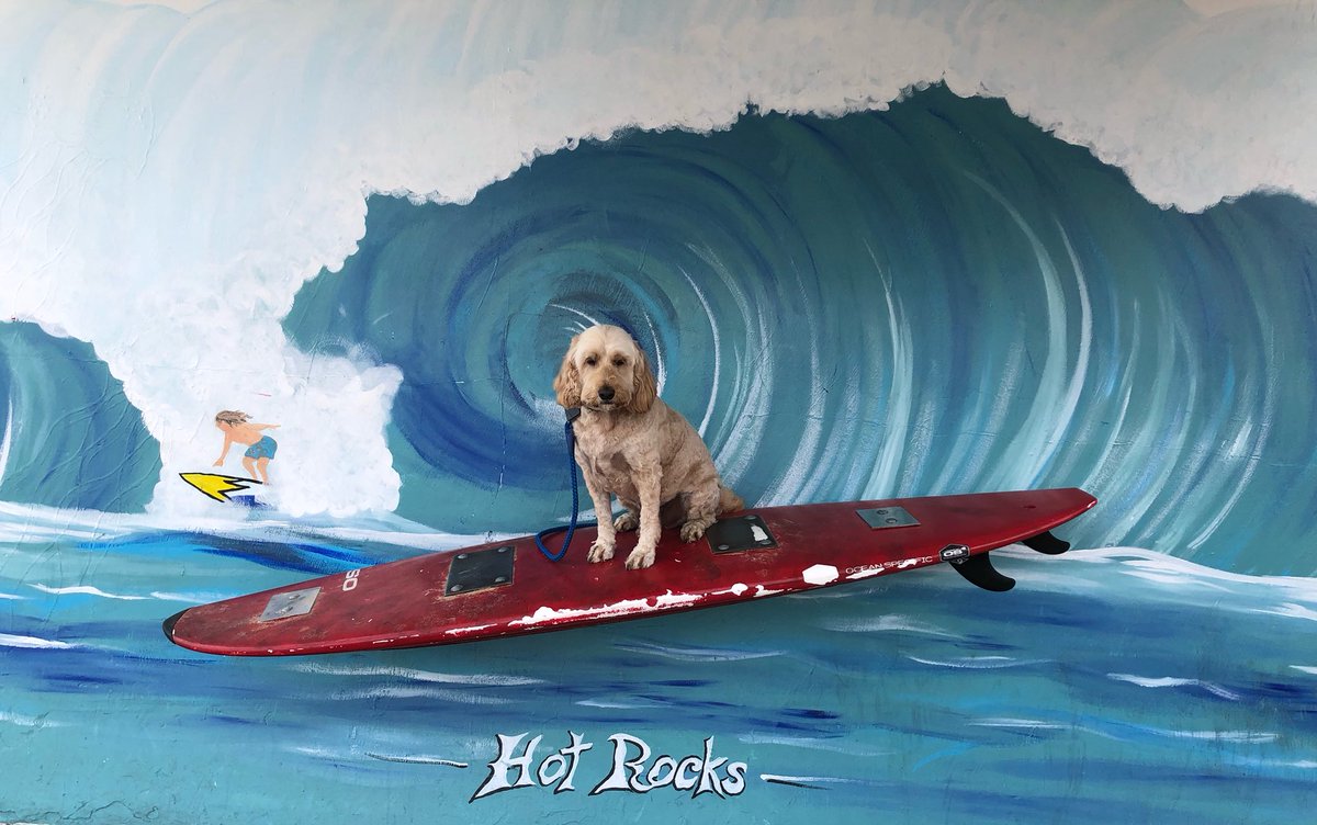 Ted Dale tweet media