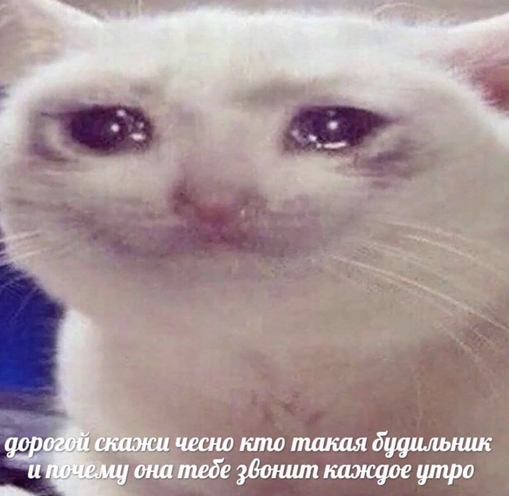 treschenko24's tweet photo. Два дня всё спокойно, никаких ссор

Моя девушка: https://t.co/05JdIXXQMF