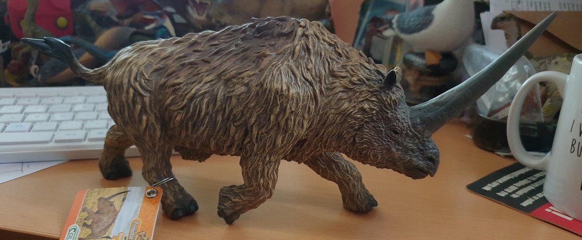 Let's have a look at the awesome new #CollectA Elasmotherium
