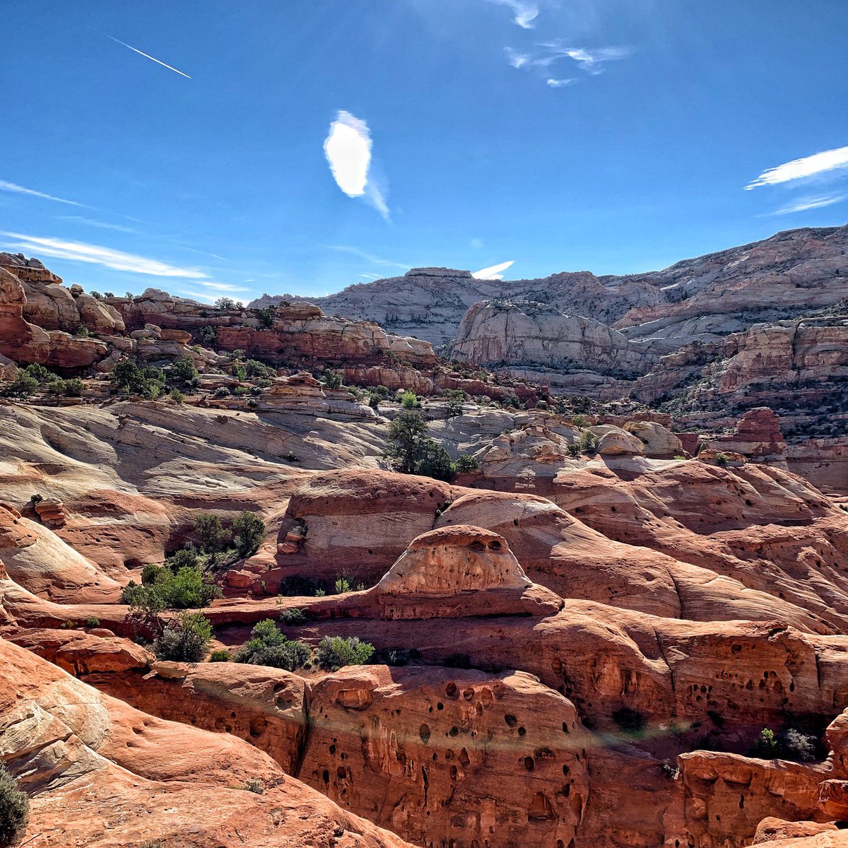 elkouteini's tweet photo. 🇺🇸 On Top of the #Cassidy #Arch in #CapitolReef #NationalPark in #Utah. Long hike but really worth it. It always better to start at the early morning as this route really got packed ⛰

#usa #visitusa #visitutah #nature #travel #tripmaximizer 
#سفر #امريكا #يوتا #جبال #طبيعة https://t.co/VdS8r4hlZZ