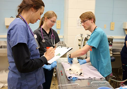 The monthly clinics span several stations. Here, a physical exam is performed before surgery.