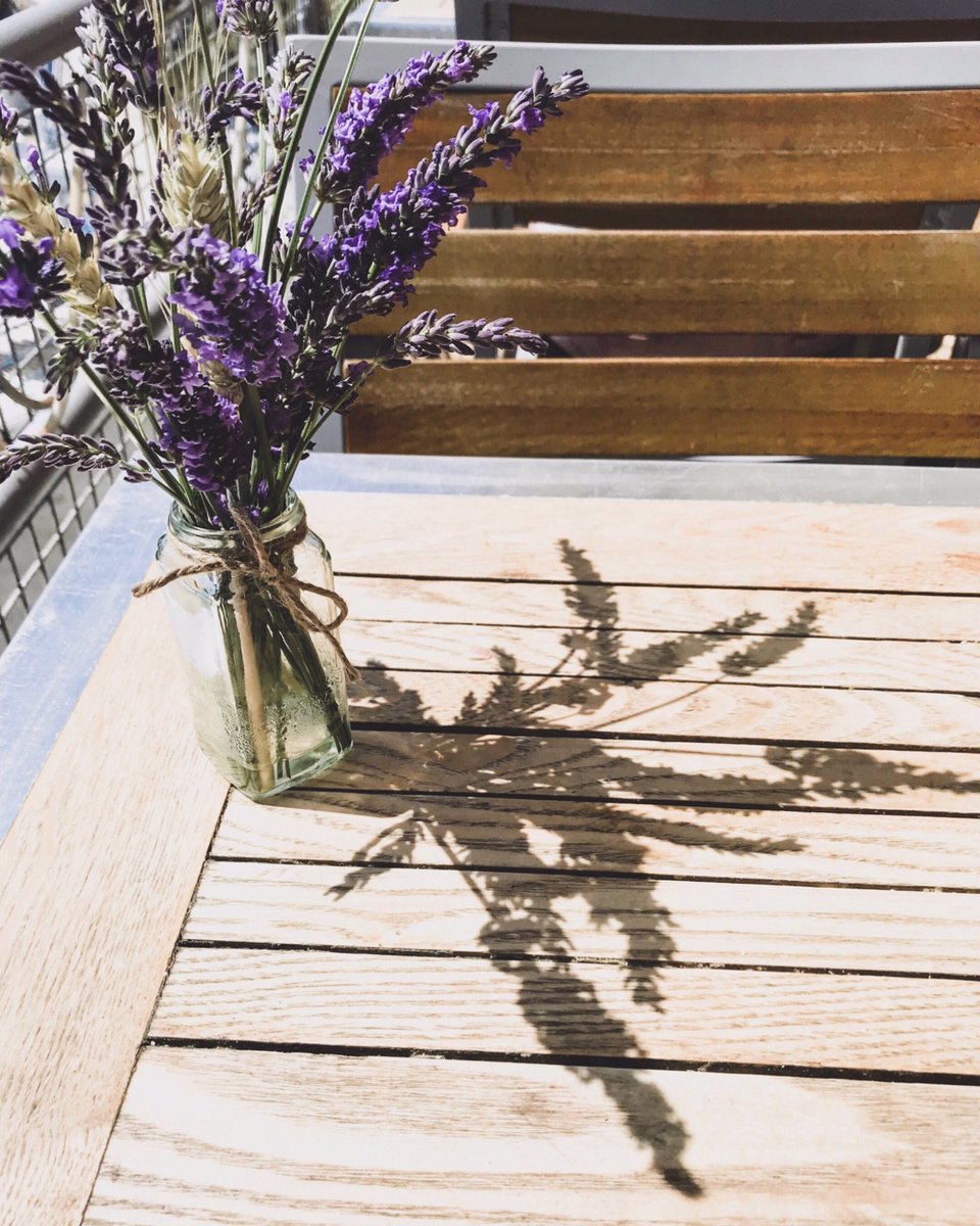 Do you ever see something beautiful and take ONE BILLION photos of it?! This is one of the billion. I loved how the shadows looked in this shot 😍💜
.
.
#flowers #flower #plymouth #england #uk #travel #travelgram #photography #photographer #photographylovers #iphone #beautiful