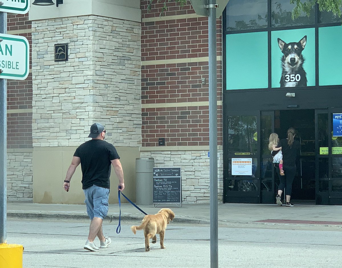 What pet is next for you @lowegranger? Sunny needs a companion! A rat or bearded dragon would be great!