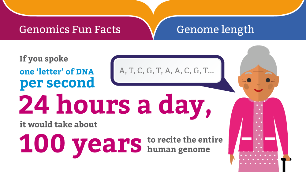Genomics Education On Twitter Here Is A Fun Dna Fact For A Friday And You Can Find More Fun Facts Here Https T Co 9puptazbin Did You Know