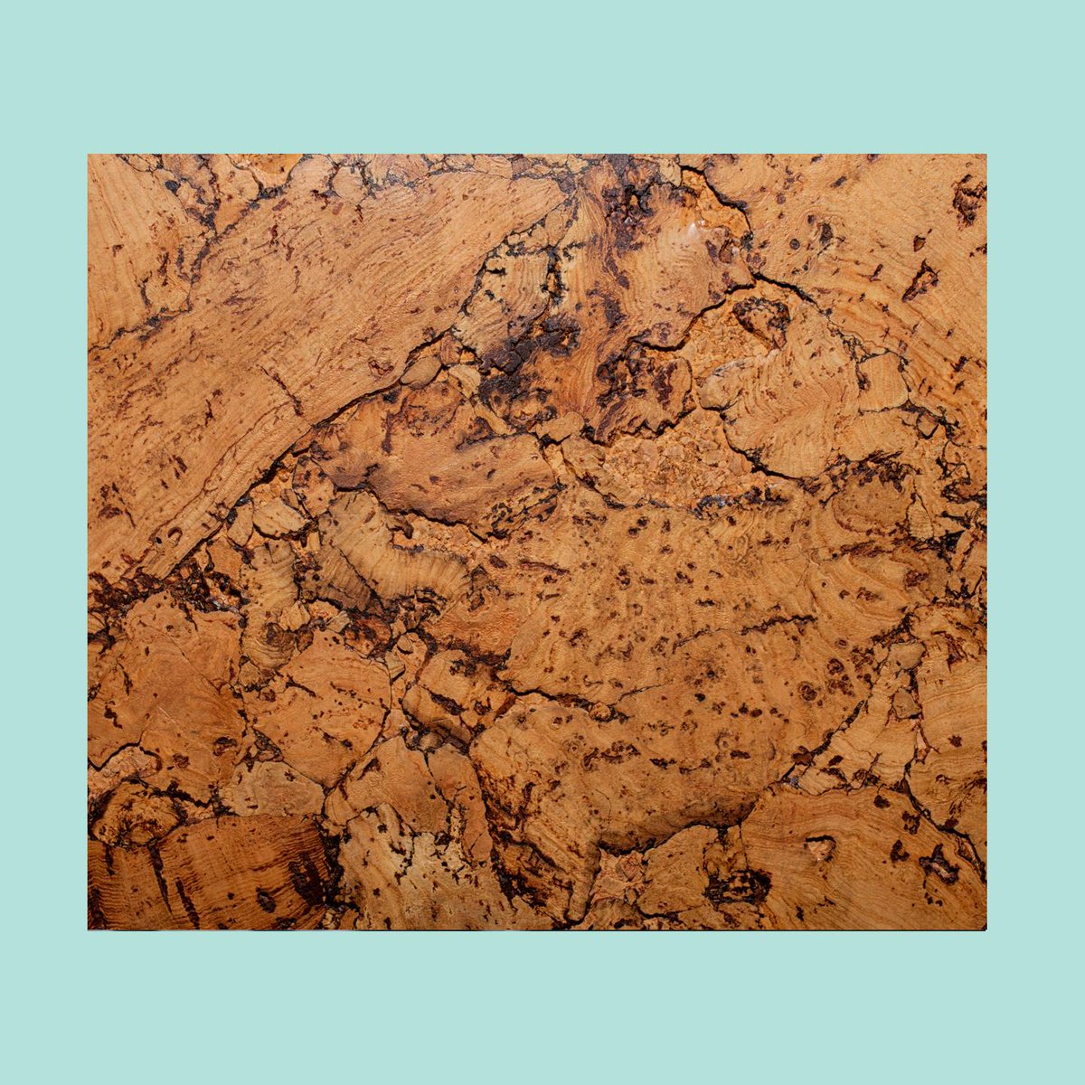 TheHoppsPartnership tweet media