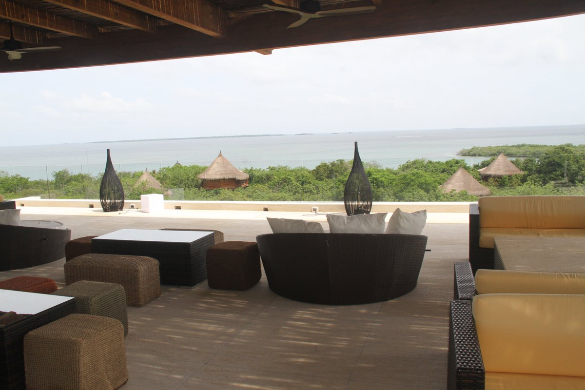 🅰🅻🆅🅰🆁🅾 🅰🅱🆁🅸🅻 tweet media