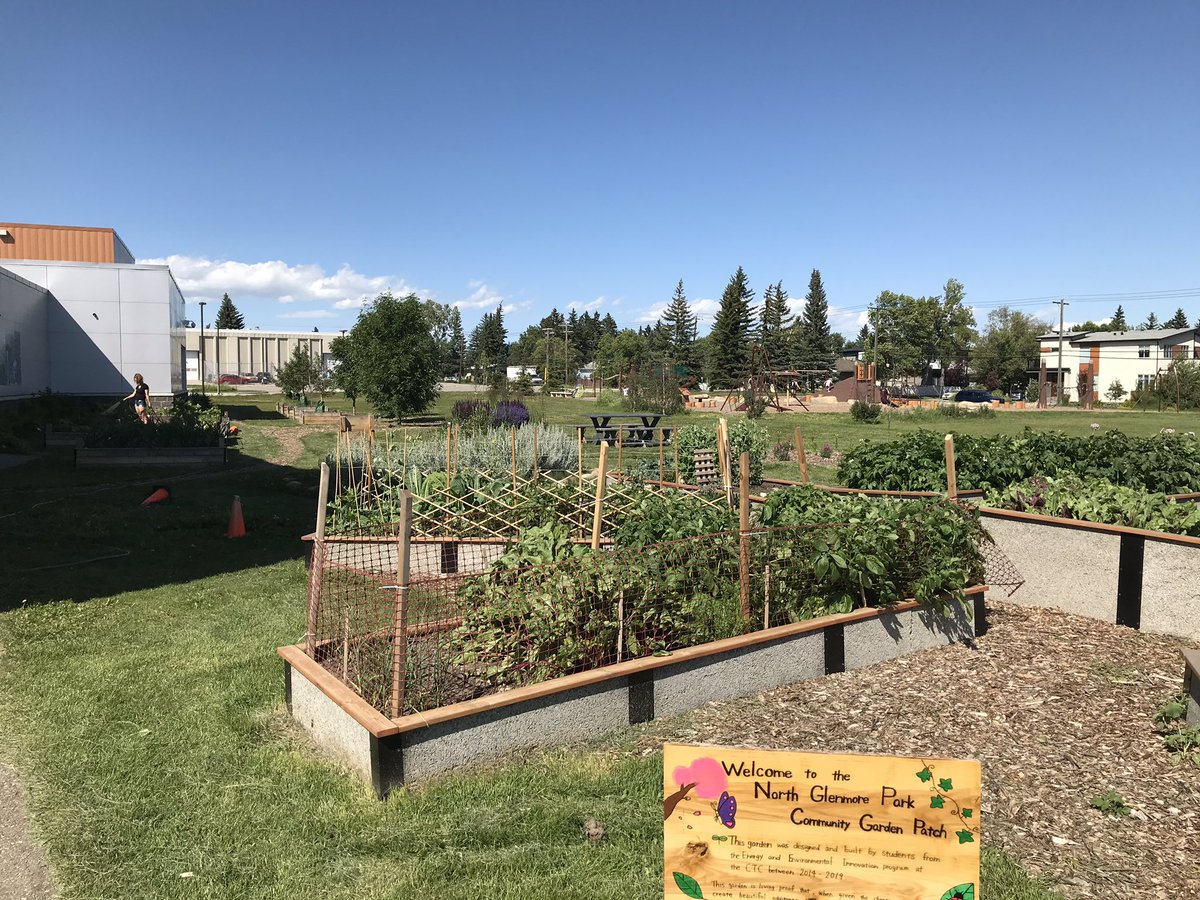 I’m so proud that the work our <a href="/1stof7gens/">Energy & Enviro CBE</a> students have done (engaging community, designing, constructing, landscaping) has resulted in a thriving community garden with <a href="/NGPCA/">NorthGlenmorePark CA</a> and <a href="/yyCBEdu/">Calgary Board of Education</a>. In our first year, we have 18 community members with garden plots and it looks amazing!