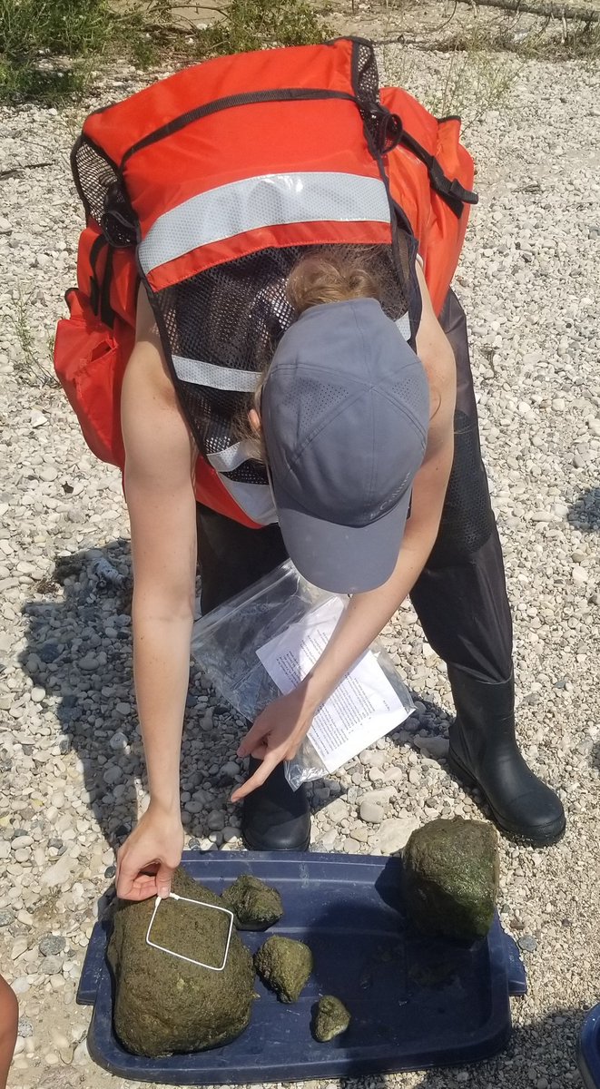 HudsonBayWQMS's tweet photo. Thanks @scimily for developing a #LakeWinnipeg specific #ZebraMussel sampling protocol. We will be incorporating this into our #nearshore monitoring.
#StopAIS #WQMS #ECCCSCI https://t.co/4qZEKpoExF