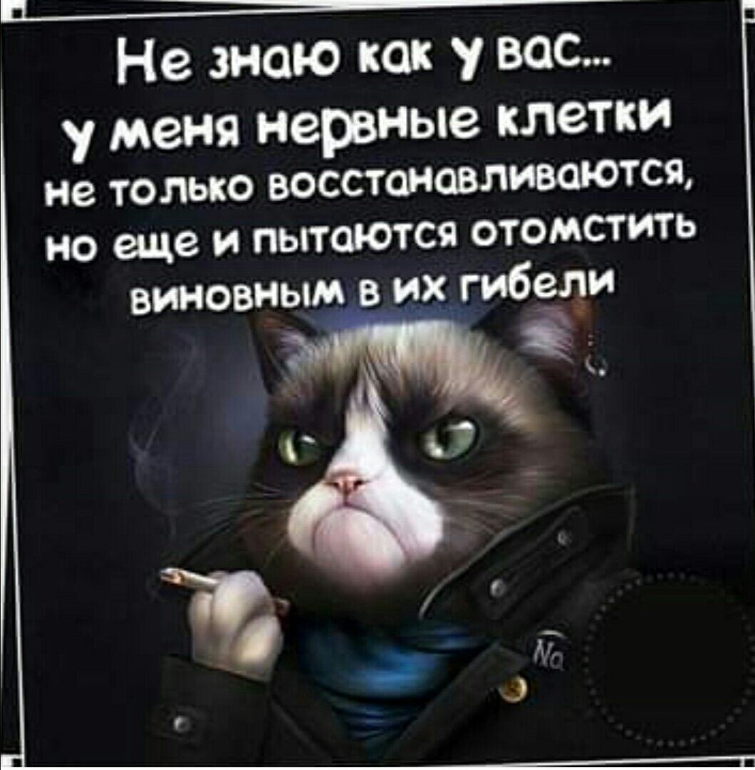 открытка нервы не восстанавливаются женщин небольшой