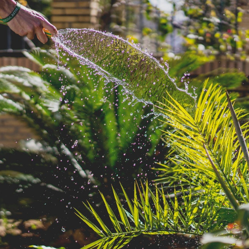 DonofrioLandsca's tweet photo. Are you watering more than 3 times a week? Then you're watering too much. Make sure you know how much water your lawn needs to be successful. Let the professionals help you. Feel free to contact us. π973-763-8911
#landscaping #landscape #mowing #garding #clearingtrees #flowers https://t.co/cDNAqqeRqD