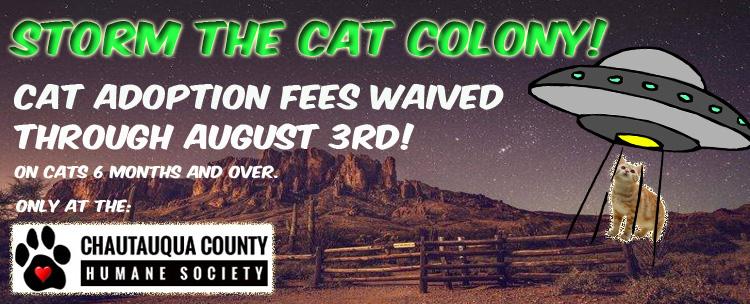 CHQCountyHumane's tweet image. The Government doesn't want you to storm Area 51, but we invite you to storm the Cat Colony.  Read the article to learn more about fee waived adoptions! conta.cc/2SLVia7