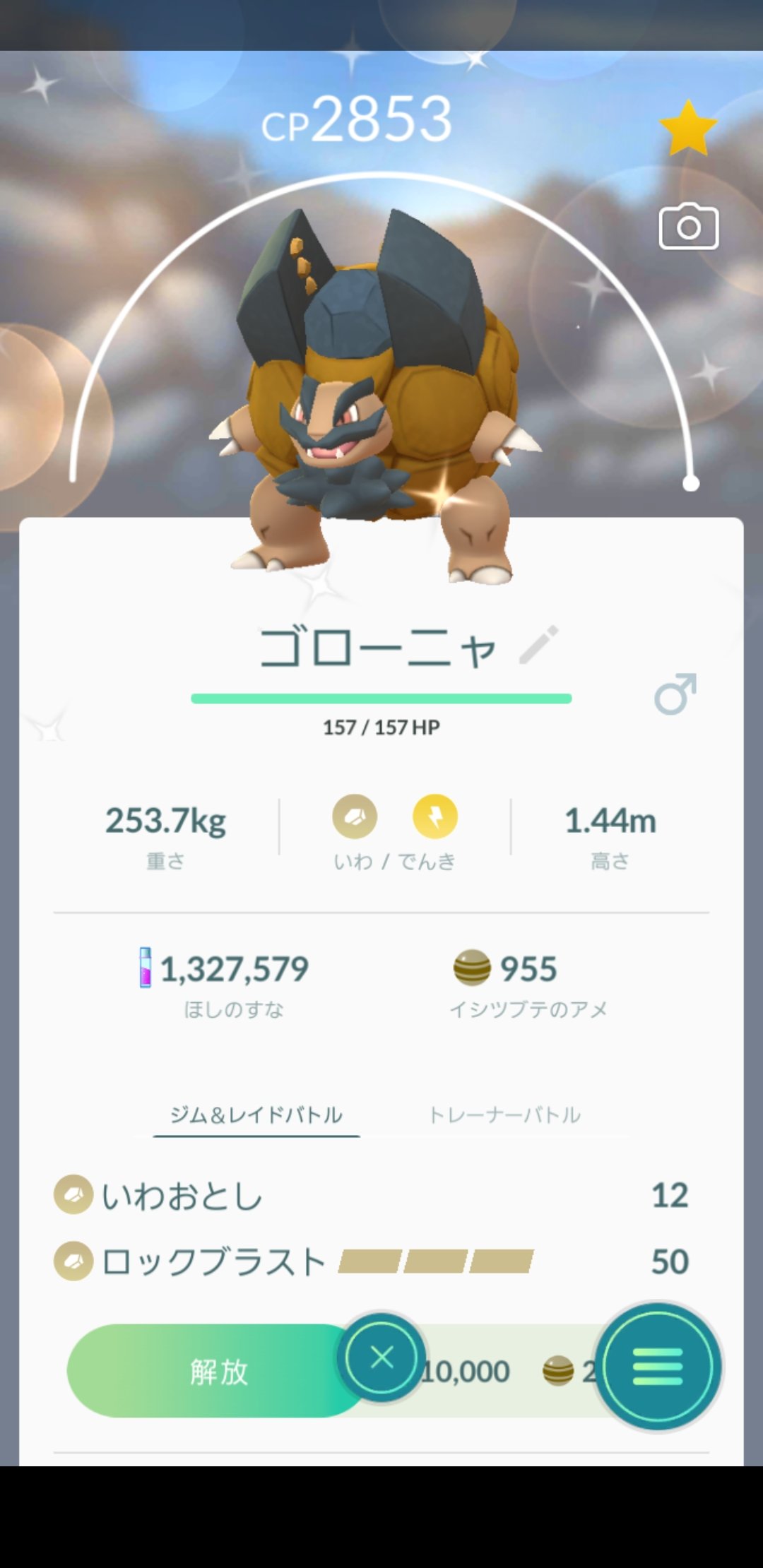 アローラゴローニャ Twitter Search Twitter