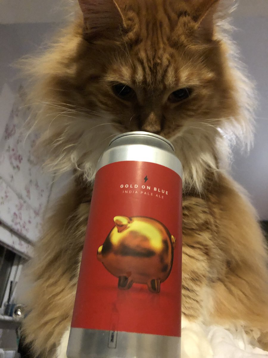 MikeBeef's tweet image. Too much @GarageBeerCo makes you evil...
