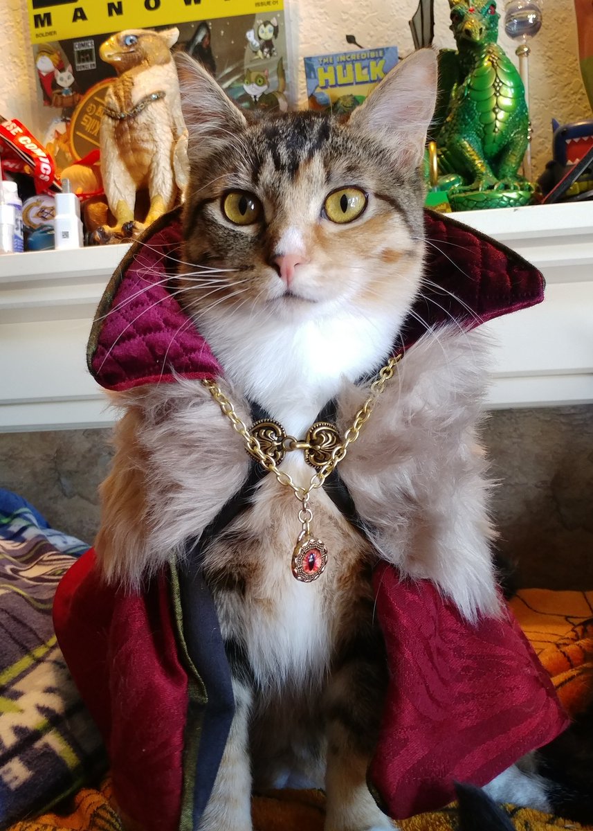 @ellle_em Well #CatGlowUp certainly is a fun # for the day.