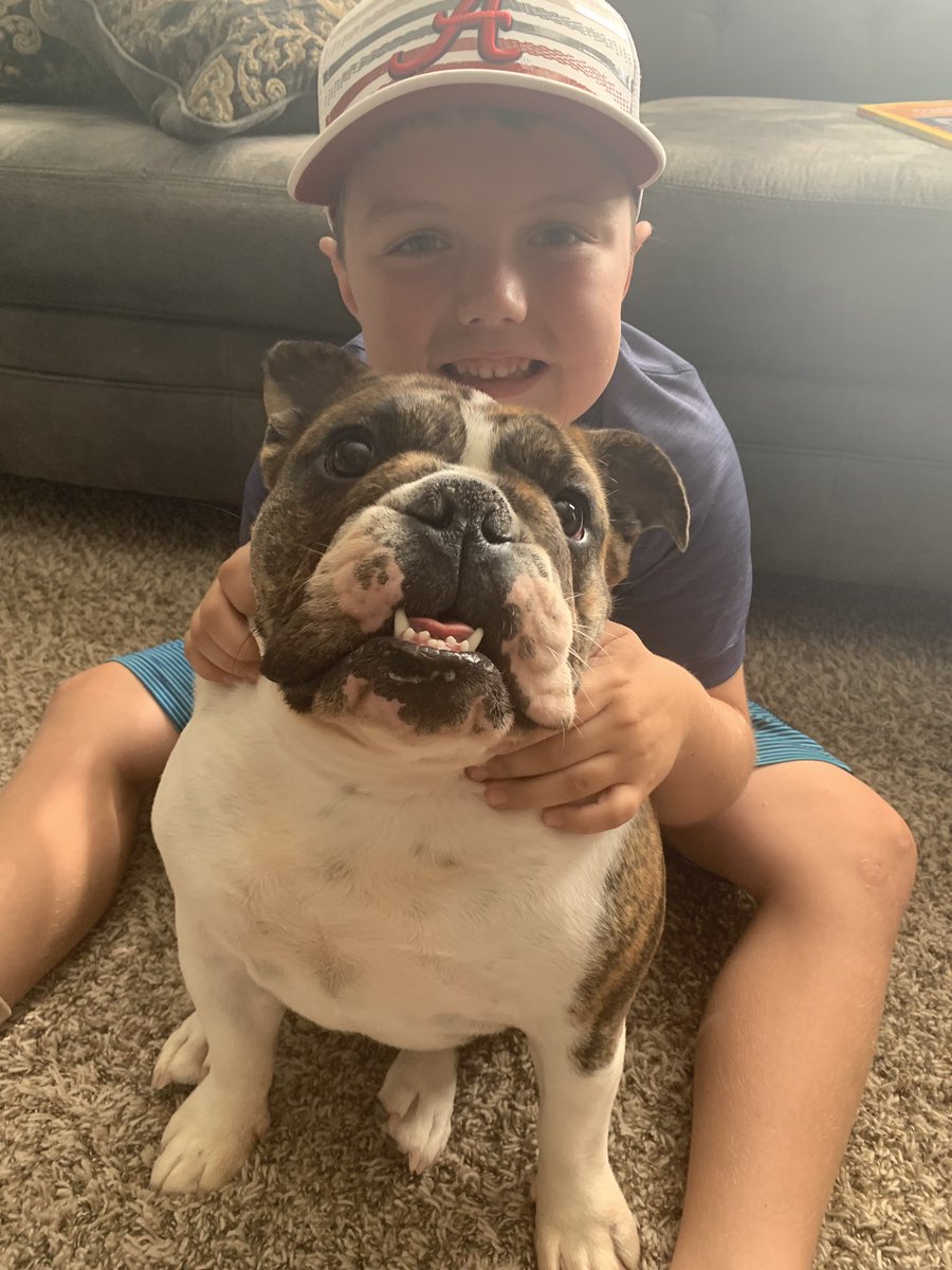TeacherLann's tweet photo. Hudson reading NF with his favorite pal our EB Bama-she loves a good book! @HeritageElemLib @HPCubs #HeritageReads https://t.co/dWZj3cU9u1